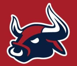 Team: Smithtown Bulls Blue | LI Hot Stove Baseball